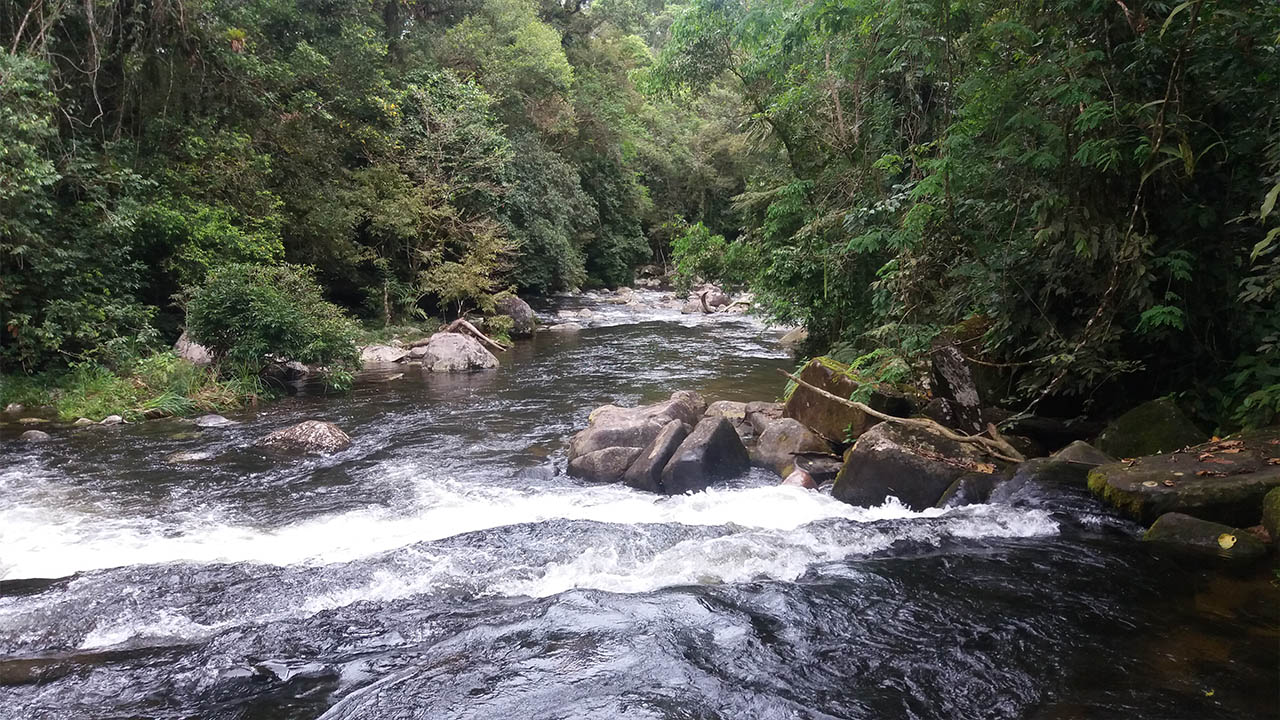 Trilha do Corisco Ubatuba