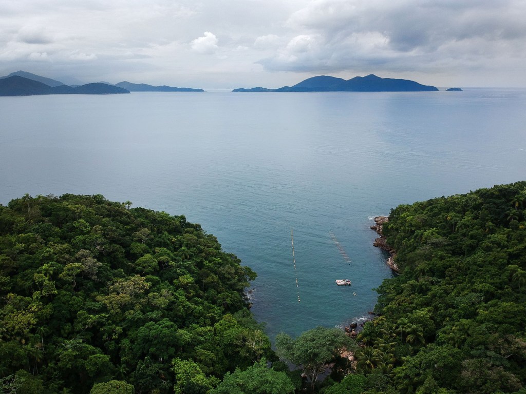 Vista aérea da Ilha do Mar Virado @caminhos.do.sup