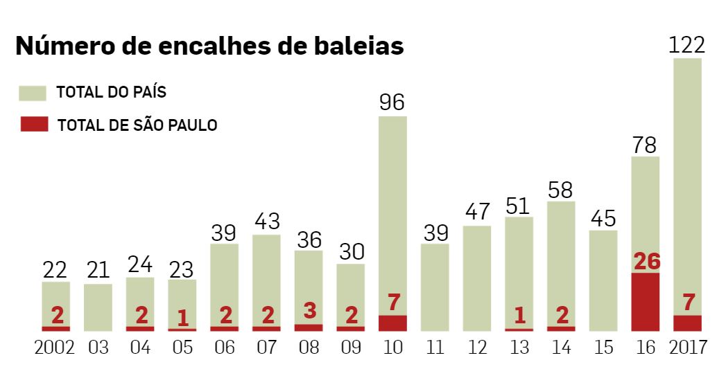 Encalhe de baleia