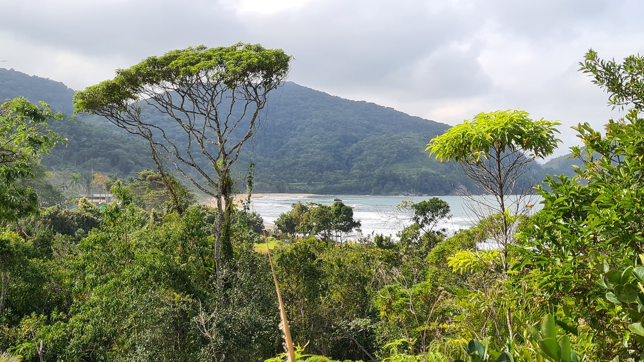 Vermelha do Norte vista da trilha para a Praia Saco da Mãe Maria