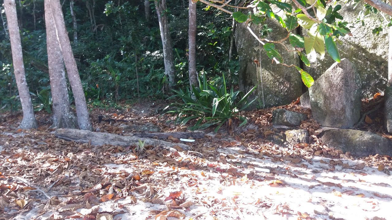 Início da trilha para a Praia da Lagoa no canto esquerdo da Praia Mansa atrás destas pedras