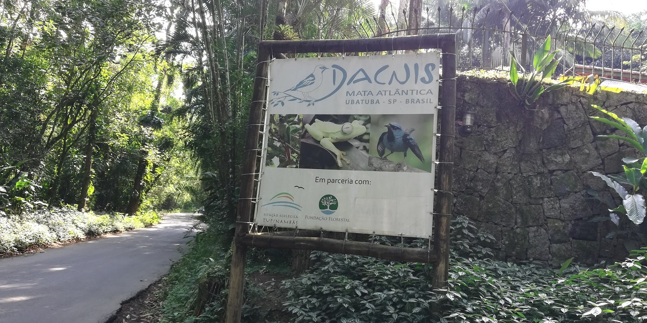 Entrada do Projeto Dacnis na Estrada do Monte Valério