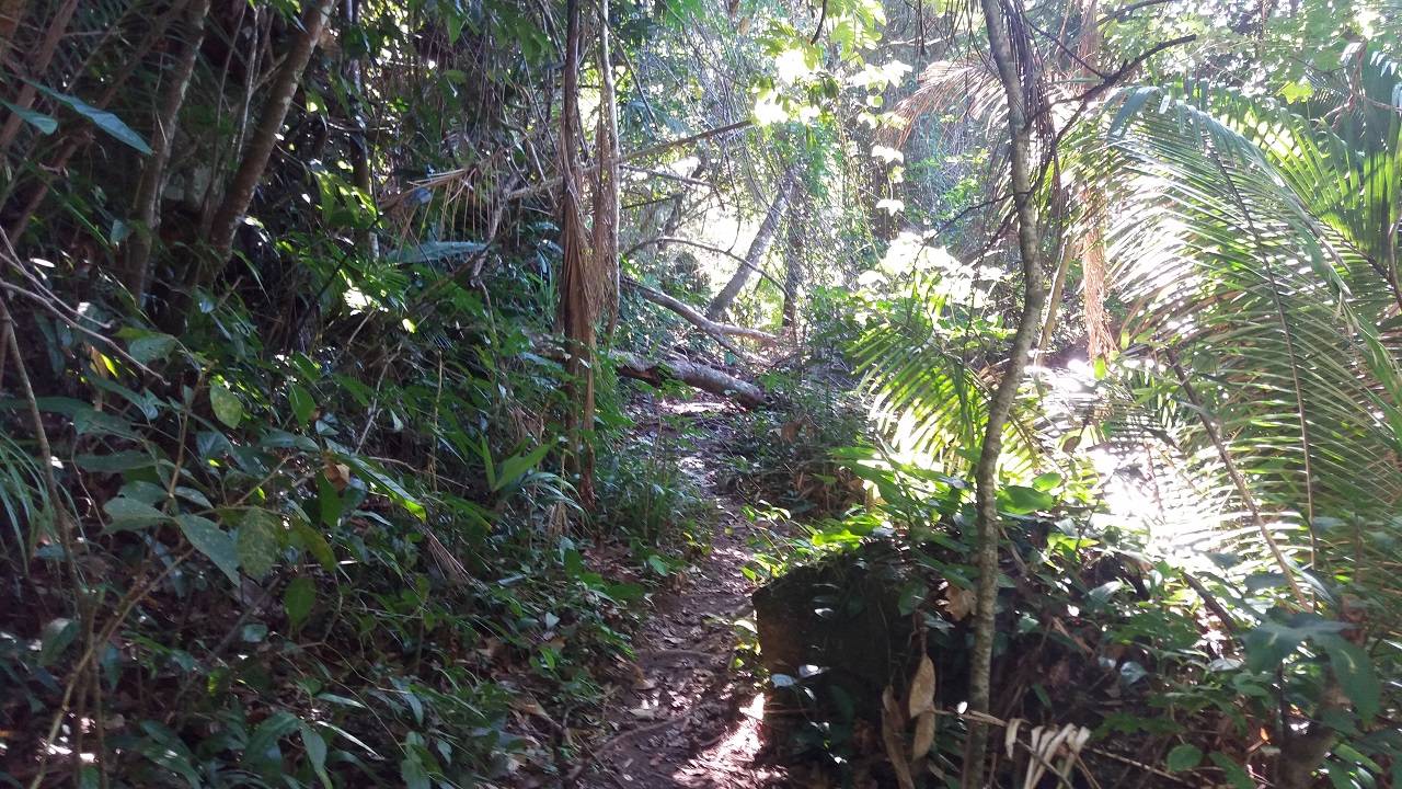 Trilha Praia Mansa - Praia da Lagoa