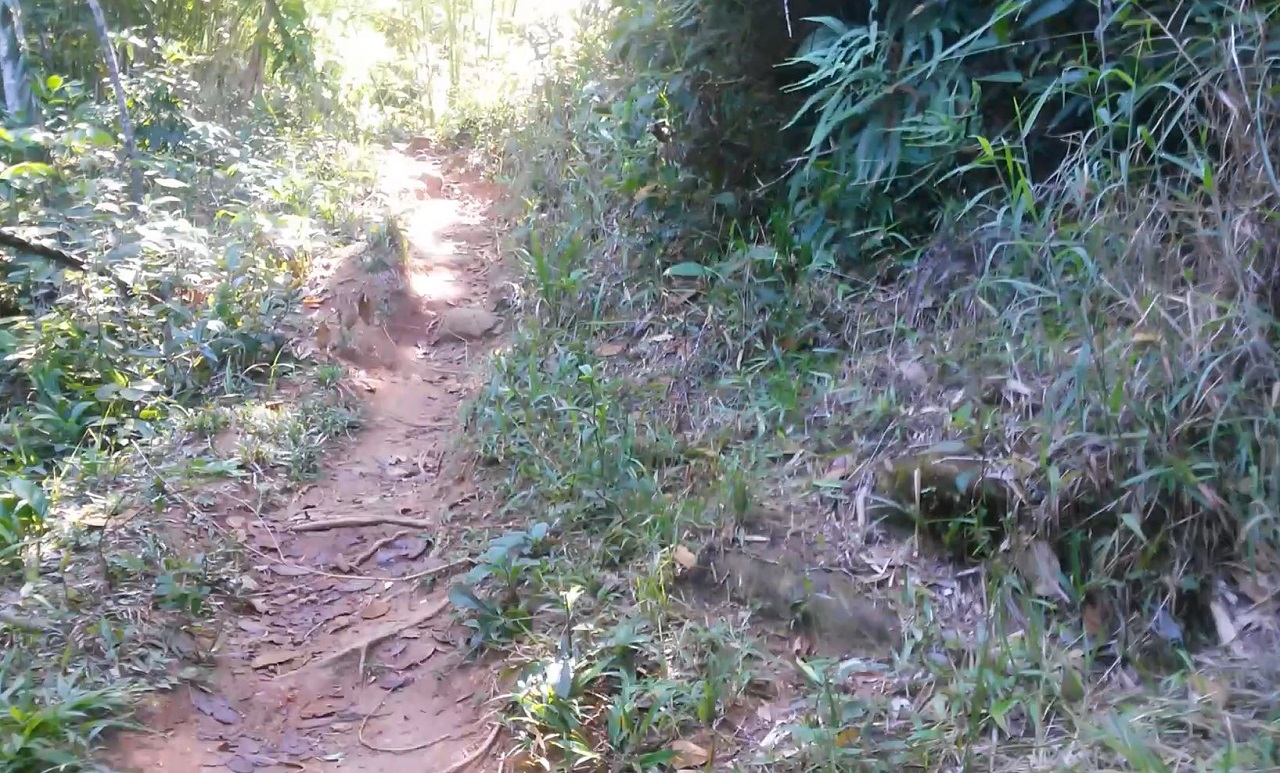 Início da trilha para a Praia do Cedro do Sul