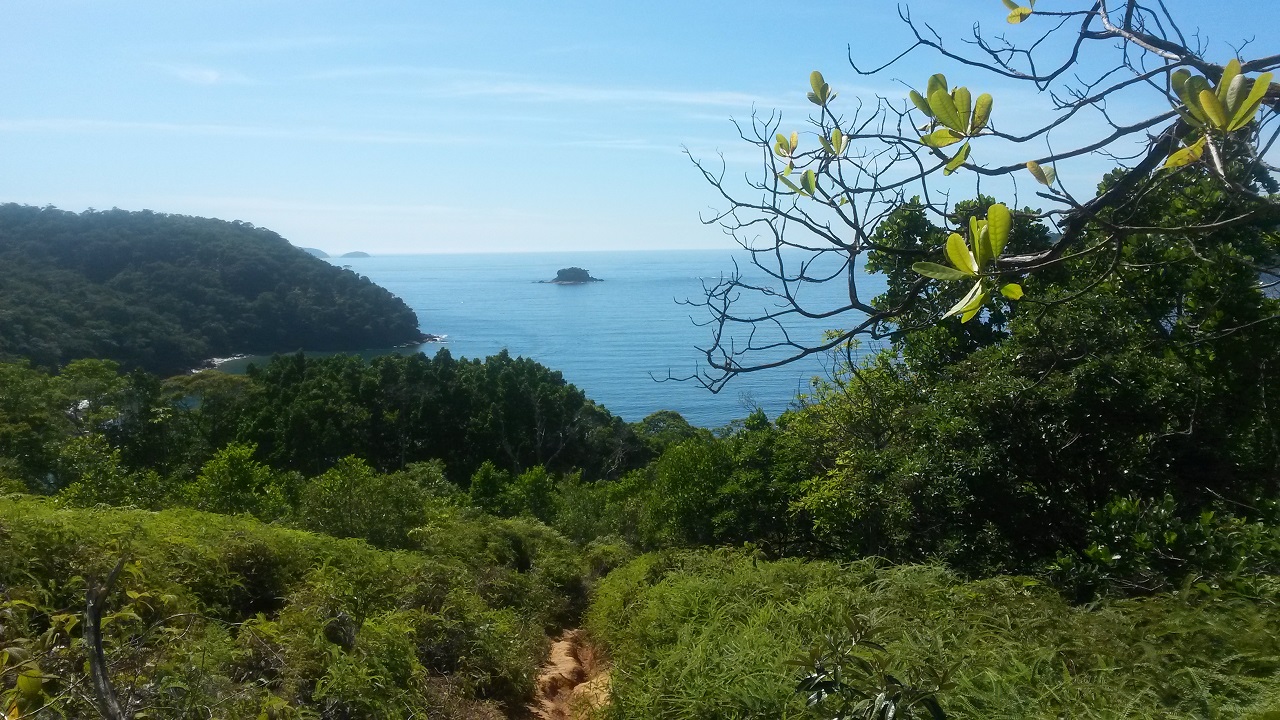 Trilha Praia Grande do Bonete - Cedro