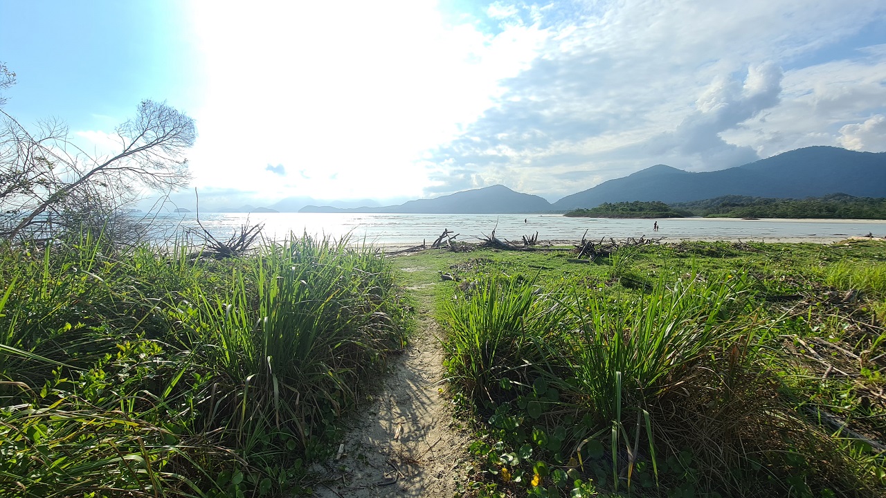 Praia das Bicas