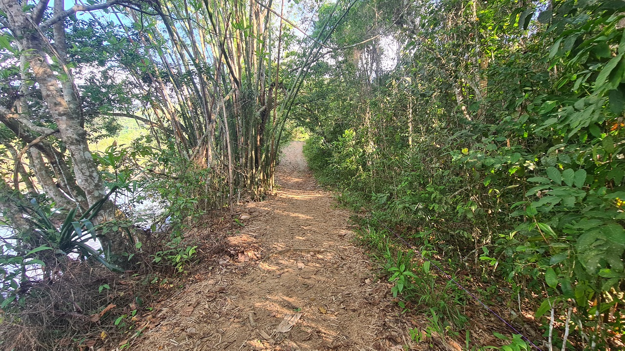 Praia das Bicas