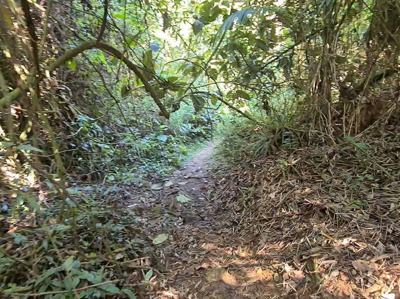 Trilha para a Praia da Barra Seca