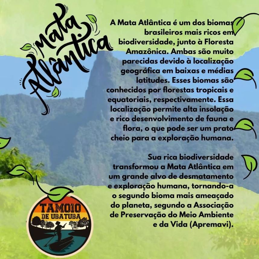 A Mata Atlântica - Tamoio de Ubatuba